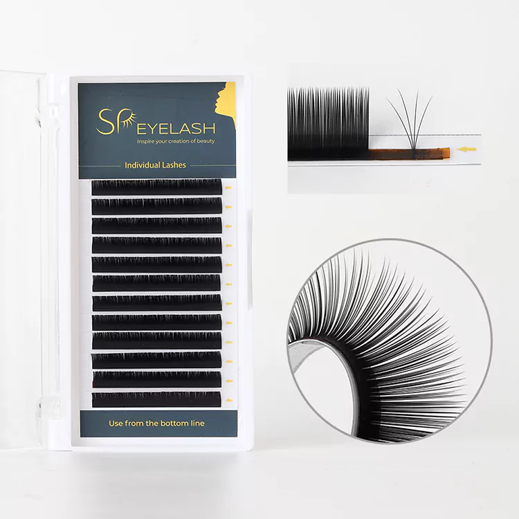 Camellia lash extension