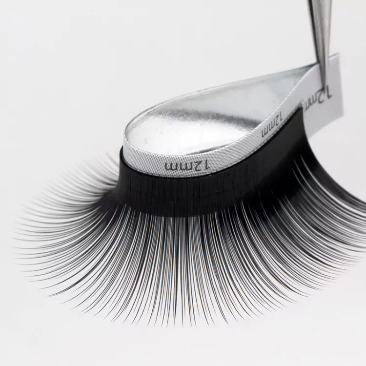 Multi-Layer 4D Camellia Eyelash